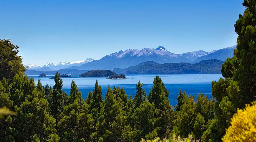 Compromiso ecológico con el medio ambiente